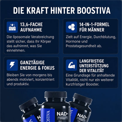 Liposomales NAD+ Für Männer